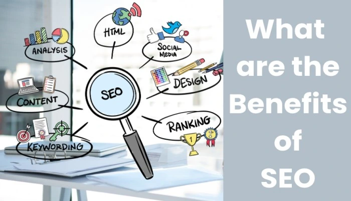 SEO Tools to check your Website
