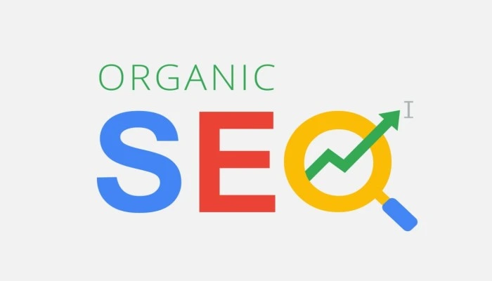SEO Tools to check your Website